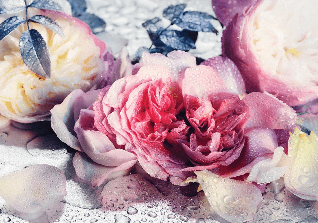 Fragancias Florales de The House of Creed