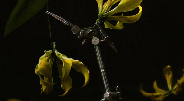 A flower with a machine arm