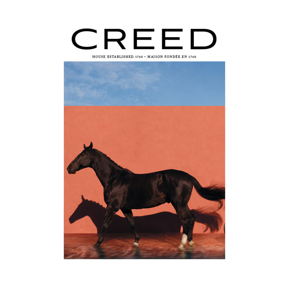  The cover of creed book 4 with a horse 