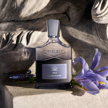 Nuevo | Descubra Iris Debonair