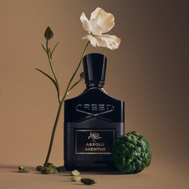 Absolu Aventus