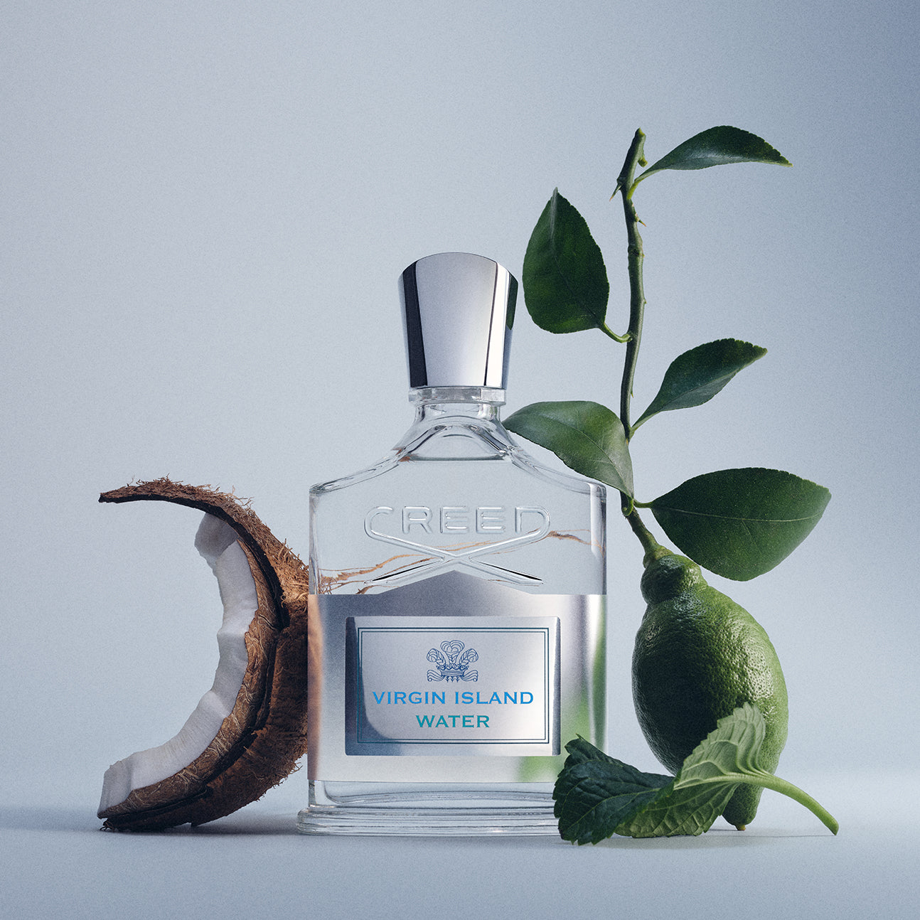 Virgin Island Water | Creed Boutique MX